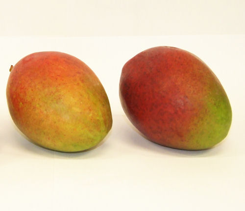 Mango Importware frisch – Convenience GmbH
